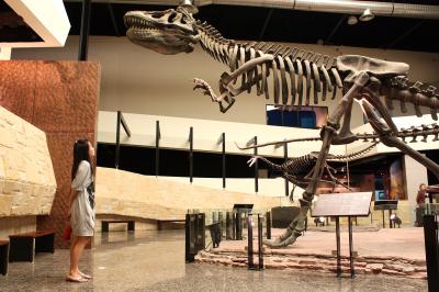 ภายในพิพิธภัณฑ์สิรินธร อุทยานโลกไดโนเสาร์ อ.สหัสขันธ์ จ.กาฬสินธุ์จ้า Canon450D